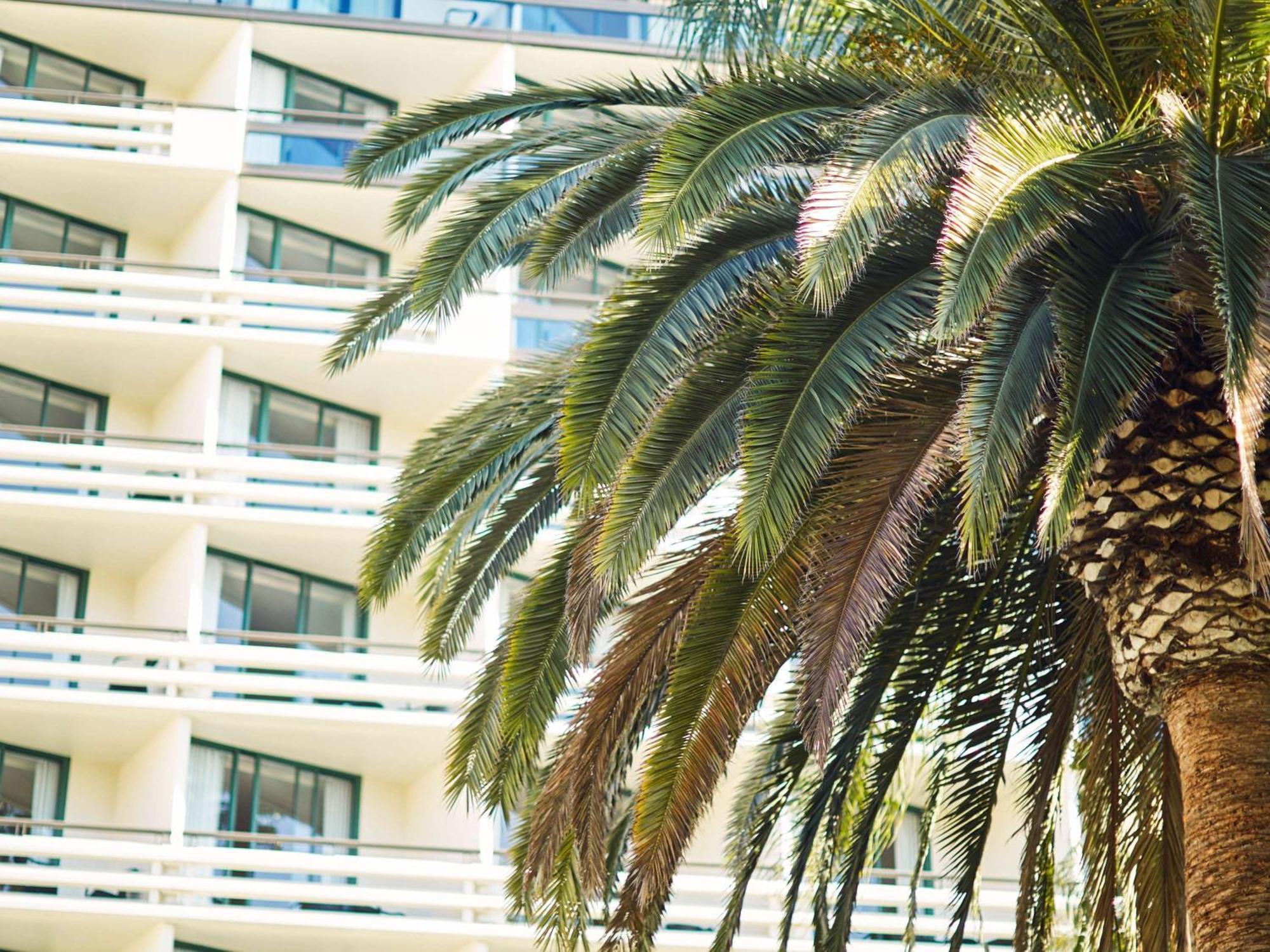 Fairmont Miramar Hotel & Bungalows Santa Monica Zewnętrze zdjęcie